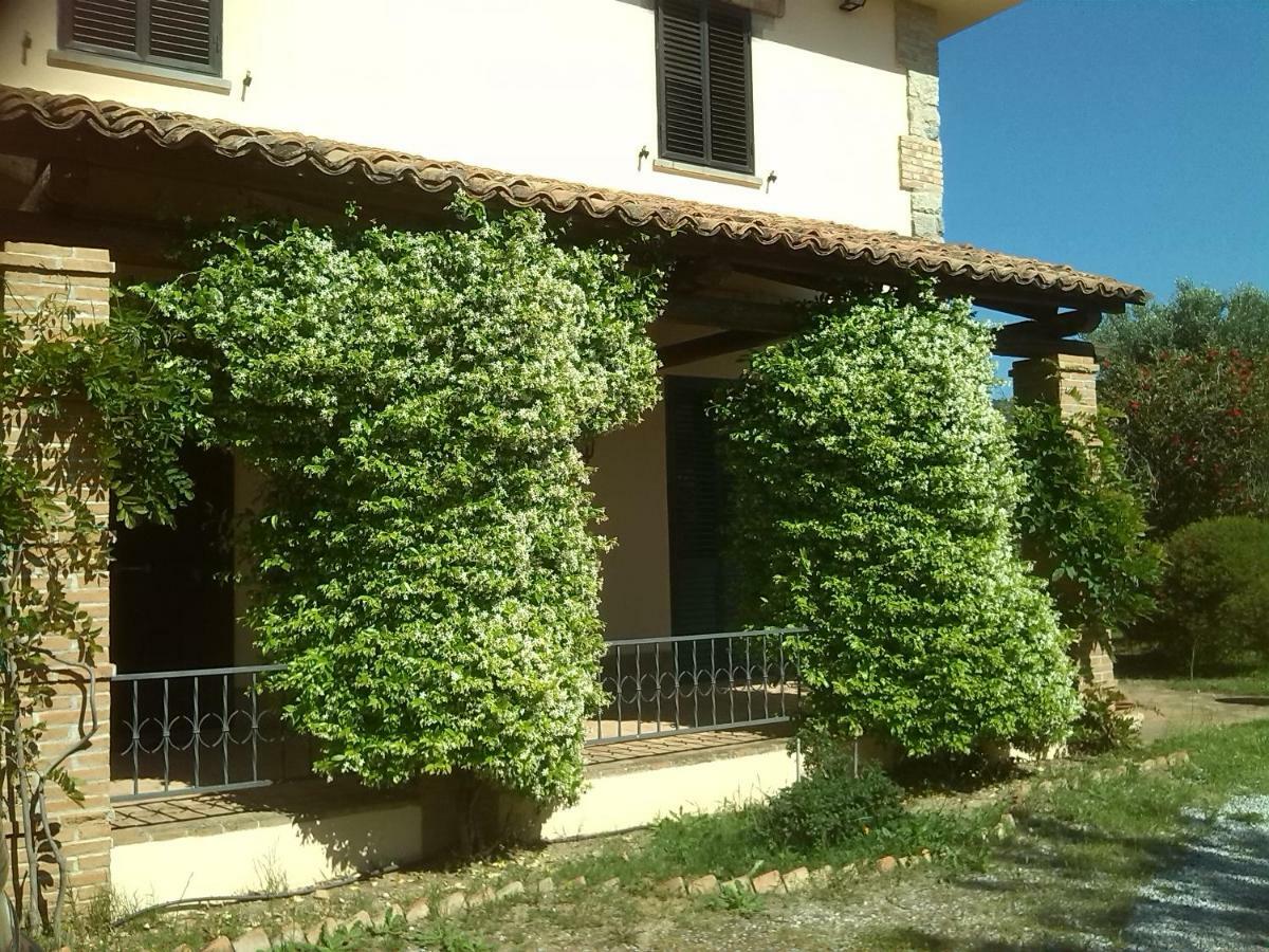 Pathirion B&B Rossano Exteriér fotografie