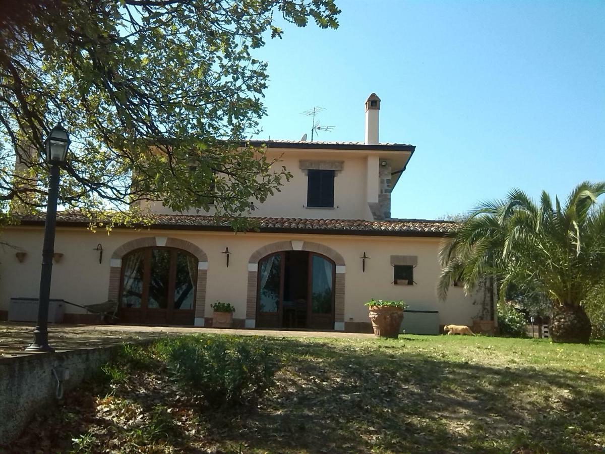 Pathirion B&B Rossano Exteriér fotografie